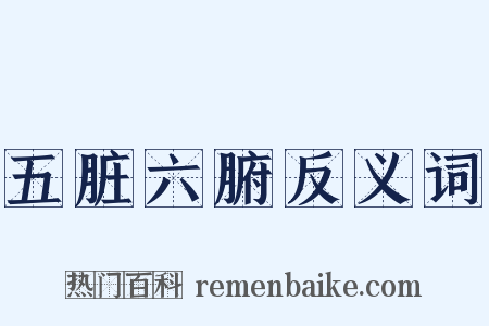 五脏六腑反义词是什么意思的图片